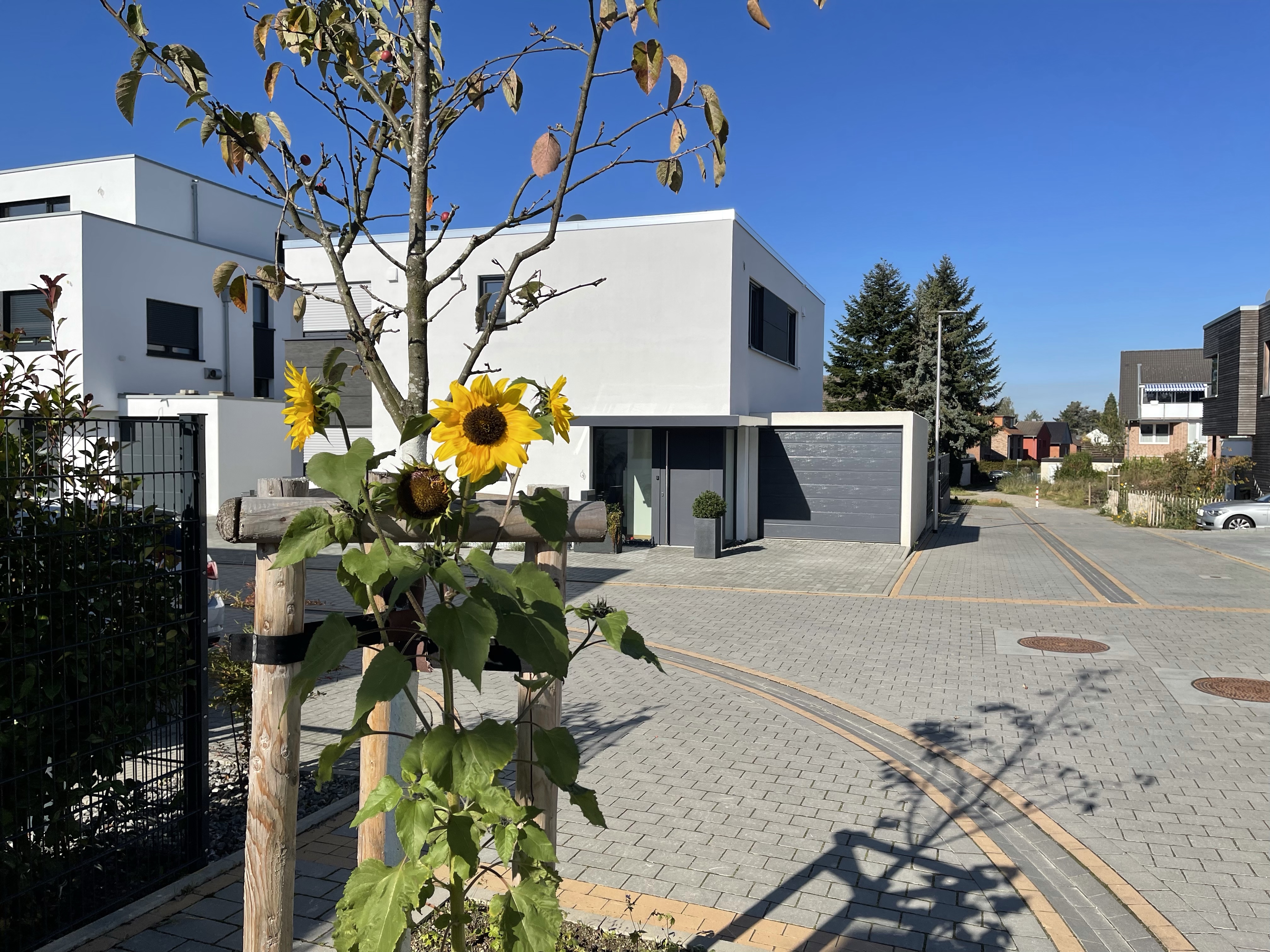 Kämpchenstraße_EFH